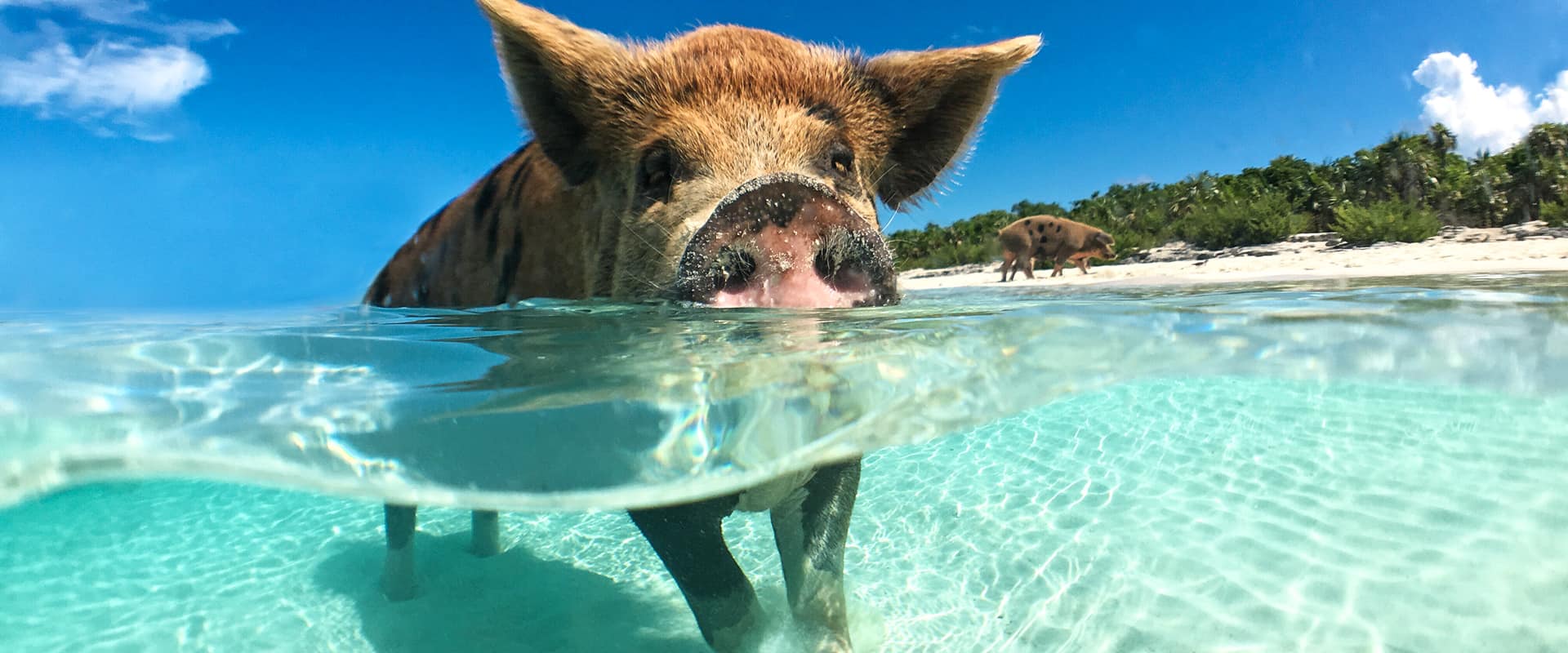 How Far Is Jamaica From Nassau Bahamas Wah Deh Gwaan